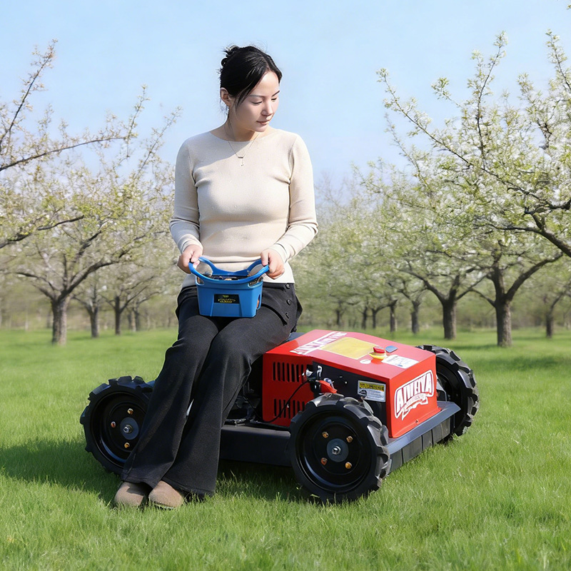 Cortador de Grama Robô Persona - Robot Track avaliação e preço